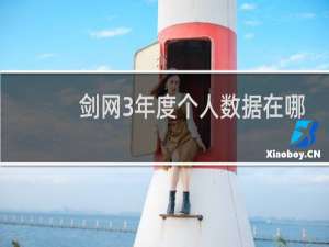 剑网3年度个人数据在哪