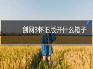 剑网3怀旧版开什么箱子