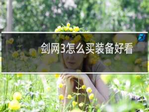 剑网3怎么买装备好看