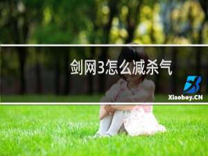 剑网3怎么减杀气