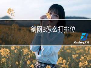 剑网3怎么打排位
