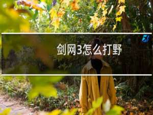 剑网3怎么打野