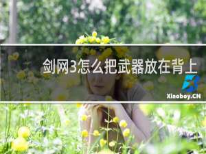 剑网3怎么把武器放在背上