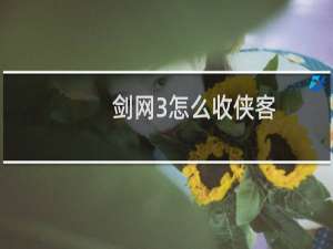 剑网3怎么收侠客