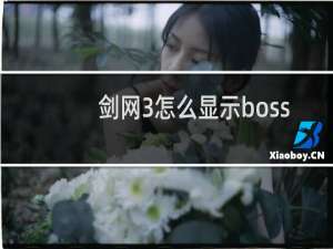 剑网3怎么显示boss