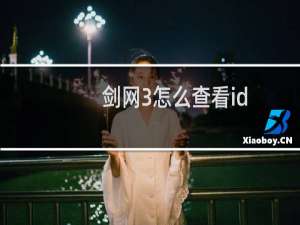 剑网3怎么查看id