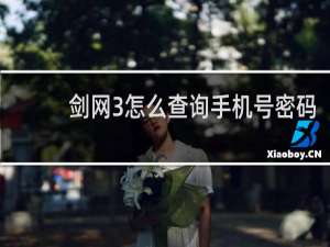 剑网3怎么查询手机号密码