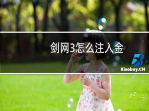 剑网3怎么注入金