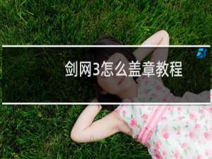 剑网3怎么盖章教程