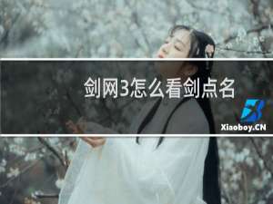 剑网3怎么看剑点名