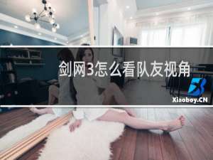 剑网3怎么看队友视角