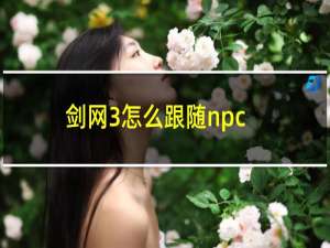 剑网3怎么跟随npc