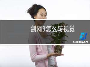 剑网3怎么转视觉