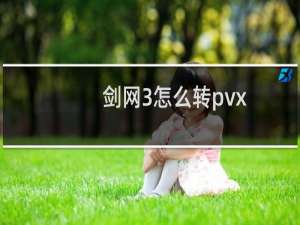 剑网3怎么转pvx