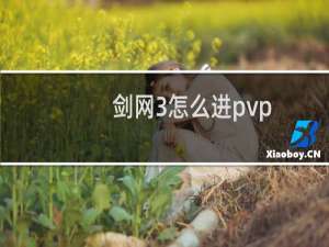 剑网3怎么进pvp