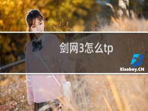 剑网3怎么tp