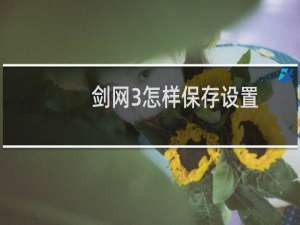 剑网3怎样保存设置