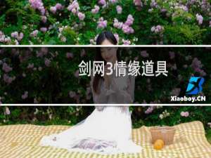 剑网3情缘道具