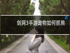 剑网3手游宠物如何抓熊