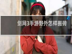 剑网3手游野外怎样搬砖