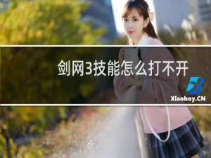 剑网3技能怎么打不开