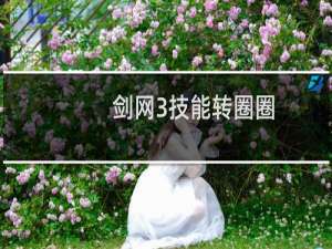 剑网3技能转圈圈