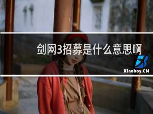剑网3招募是什么意思啊