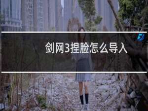剑网3捏脸怎么导入