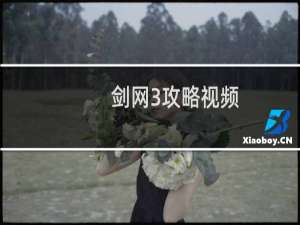 剑网3攻略视频
