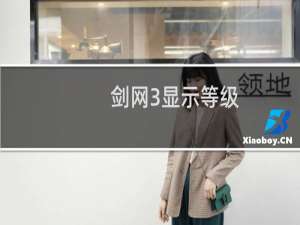 剑网3显示等级