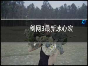 剑网3最新冰心宏