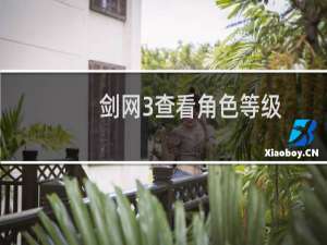 剑网3查看角色等级