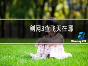 剑网3查飞天在哪