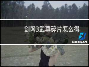 剑网3武尊碎片怎么得