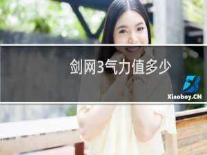 剑网3气力值多少