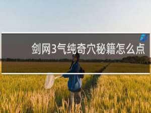 剑网3气纯奇穴秘籍怎么点