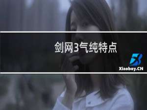 剑网3气纯特点