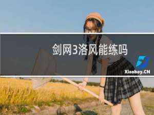 剑网3洛风能练吗