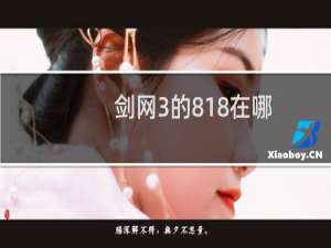 剑网3的818在哪