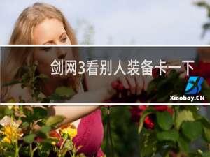 剑网3看别人装备卡一下