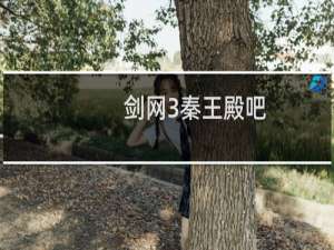 剑网3秦王殿吧