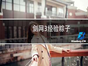 剑网3经验粽子