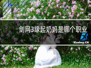 剑网3缘起奶妈是哪个职业