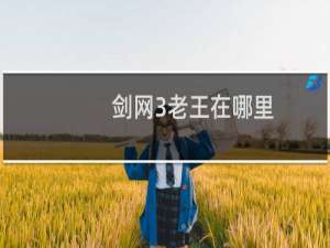 剑网3老王在哪里