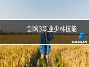 剑网3职业少林技能