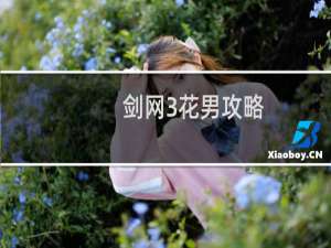 剑网3花男攻略