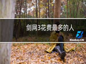 剑网3花费最多的人