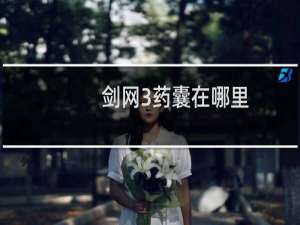 剑网3药囊在哪里