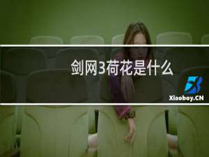 剑网3荷花是什么