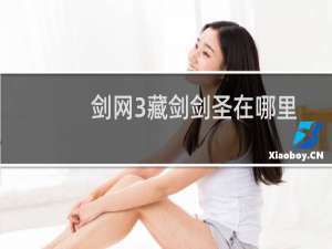 剑网3藏剑剑圣在哪里